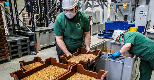 Euronorm kratten voor de insectenkweek Ynsect-raises-125-million-to-eat-insects