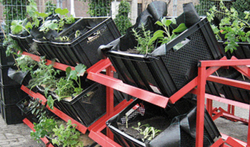 Plastic kratten landbouw